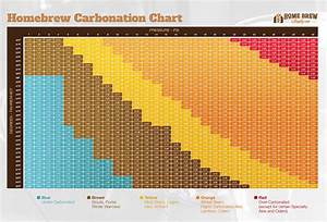 Picking The Right Carbonation Levels For Homebrewingdiy Home