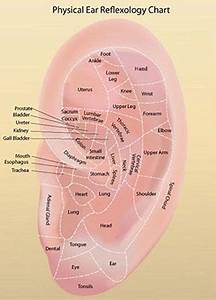 20 Ideas For Piercing Ear Chart 