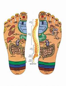 Acupressure And Reflexology Chart For The Feet In Tabla De Reflexología