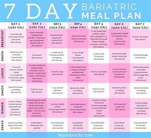 Bariatric Meal Planning Guide 7 Day Sample Meal Plan Bariatricity