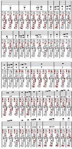 Clarinet Chart Clarinets Pinterest