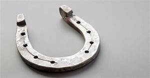 6 Types Of Horseshoes Materials They 39 Re Made From