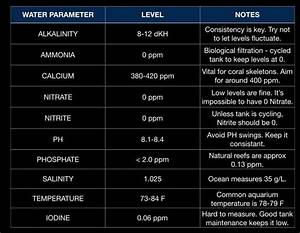 Water Parameters Chart Salt Tank Report Saltwater Aquarium