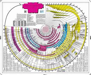 Amazing Bible Timeline With World History Easily See 6017 Years Of
