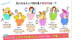 Average Japanese Breast Size Off 60