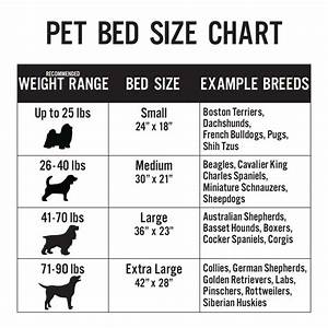 What Size Bed Should I Get For My Dog Dog Bed Sizes Dog Crate Sizes