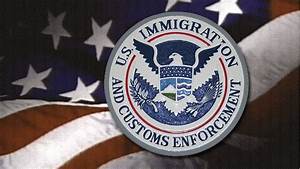The Insiders June 24th Edition Immigration Policy