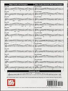 Mel Bay 39 S Oboe And Scale Chart By Eric Nelson Ebay