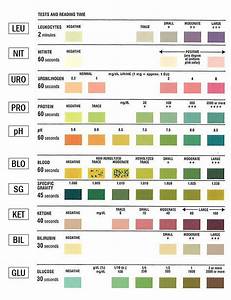Urinalysis Test Color Chart Medical Lab Technician Medical