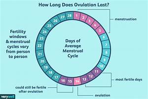 Is Dpo The Last Day Of Ovulation Ywkkb