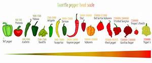 Scoville Heat Scale For Chili Peppers Poster Ubicaciondepersonas Cdmx