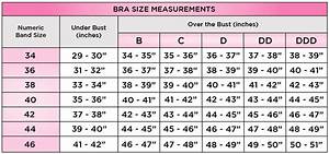 How To Calculate Your Bra Size Exquisite Form