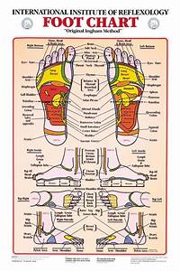 Download Foot Reflexology Chart 10 Lump Behind Ear Reflexology Foot