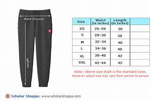 Track Pant Grey Colour Buy Online From Scholarshoppe