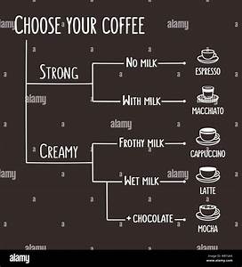 Coffee Types Infographic Illustration Simple Flow Chart That Shows