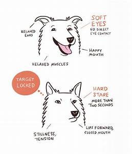 Dog Ear Chart Tunersread Com