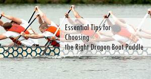 Essential Tips For Choosing The Right Dragon Boat Paddle Hornet