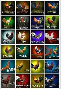 Game Fowl Chart