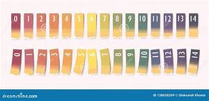 Ph Strips Scale Infographic Vector Flat Healthcare Infographic Human