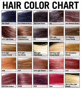 Colorsilk Hair Dye Color Chart At The Station Bloggers Image Library