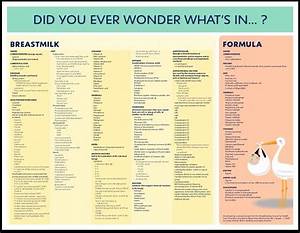 What 39 S In Breastmilk Compared To Formula Pdf Here Http Clocc Net
