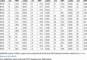 Human Dna Codon Table Awesome Home