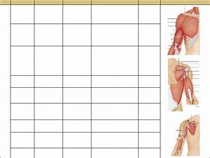 Download Muscle Chart For Free Page 2 Formtemplate