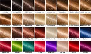  Hair Color Chart Hair Color Chart Hair Dye Color Chart My 