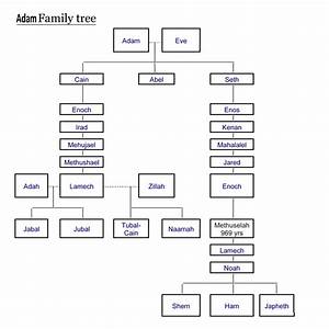 Arbre Genealogique Adam 