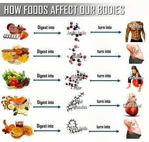 Balanced Diet Bodybuilding And Fitness Zone