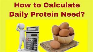 Calculation Of Daily Protein Requirements Youtube