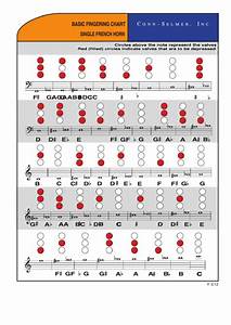 Basic Chart Single French Horn Printable Pdf Download