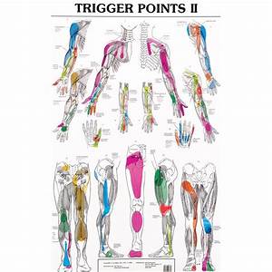 Acupuncture Charts Acupuncture Points Referred Muscle Knots