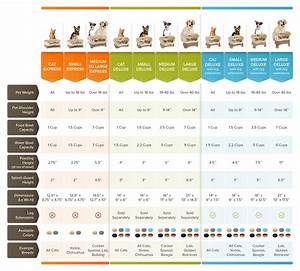 Model Size Comparison Chart Neater Pets