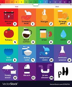 Ph Scale Universal Indicator Ph Color Chart Vector Image