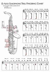 Alto Saxophone Parts Diagram Saxophone Saxophone Music Alto