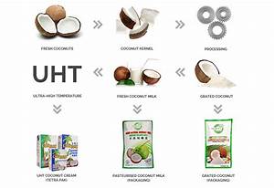 Processing Chart Sin Hwa Coconut