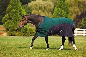 Only Equine Turnout Sheets Blankets