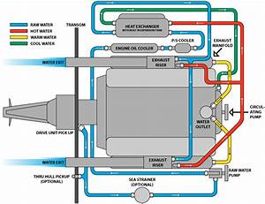 Mercruiser 4 3 Mpi Wiring Diagram For Your Needs