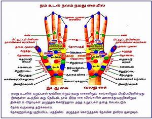 Logical Sujok Points Chart Free Accupressure Hand Chart Acupressure