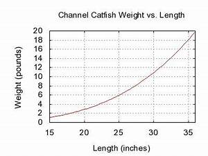Channel Catfish Size Chart Yahoo Canada Search Results Channel