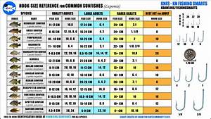 Knfs Free Hook Size Chart For Common Sunfishes Bluegill Longear