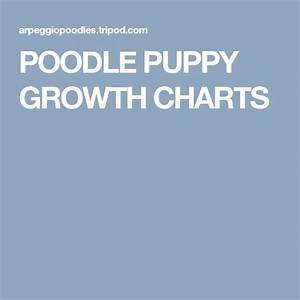 Poodle Puppy Growth Charts Puppy Growth Chart Poodle Puppy Growth Chart