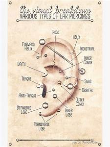 Quot Ear Piercing Chart Vintage Grunge Quot Photographic Print For Sale By