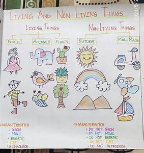 Living And Non Living Things Chart Kindergarten Math Worksheets