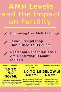 Amh Levels And The Impact On Fertility Fertilitytips Com Fertility