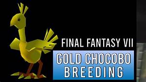 final 7 gold chocobo guide 15 easy steps to breed a