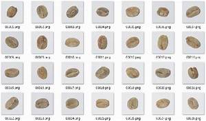 Table Ii From Classification Of Green Coffee Bean Images Basec On