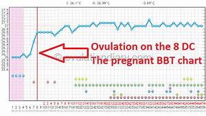 Statistics Of Pregnancies 7 9 Days After Period Ovulationdiary Com