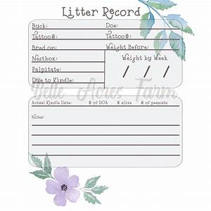  Record Chart Rabbit Record Rabbitry Etsy